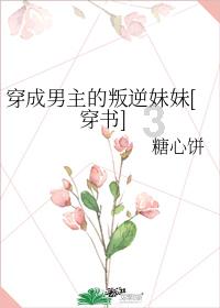 山西:高速公路服务区设“年货大集”